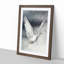 Flying Dove - Framed Print-55576394-55576398