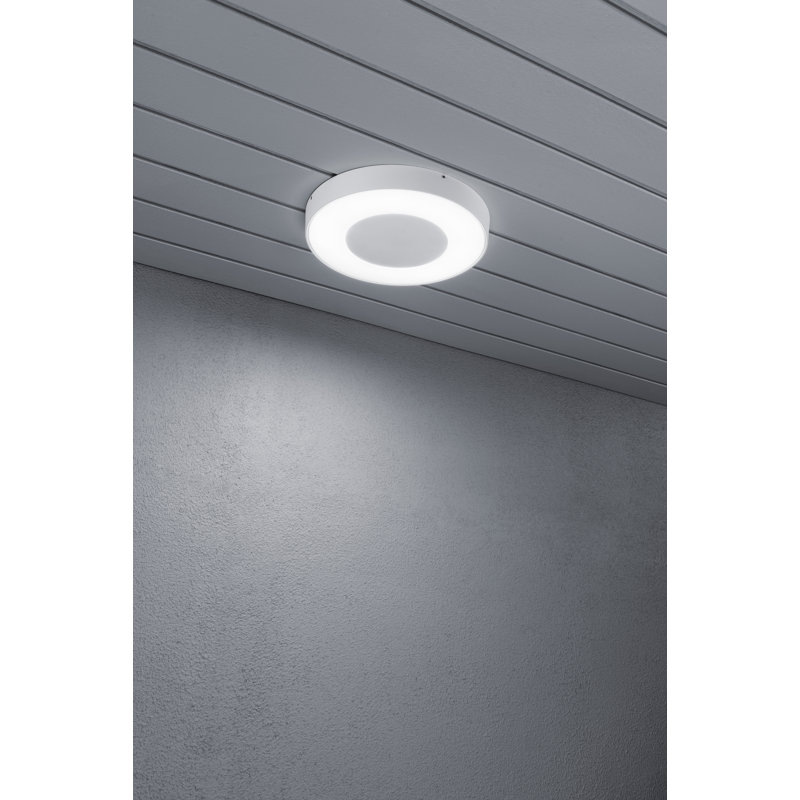 Carrara LED Wall Lamp: Dimmable, Color-Adjustable