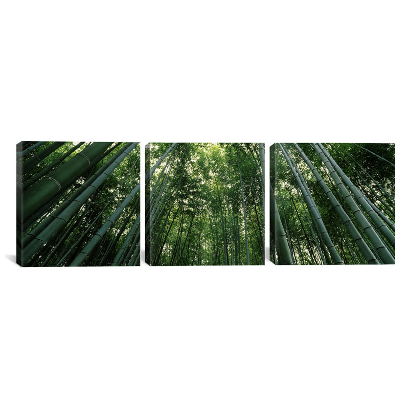 « bambou », reproduction de photo sur toile verticale, H 12 po x l 36 po x P 1,5 po