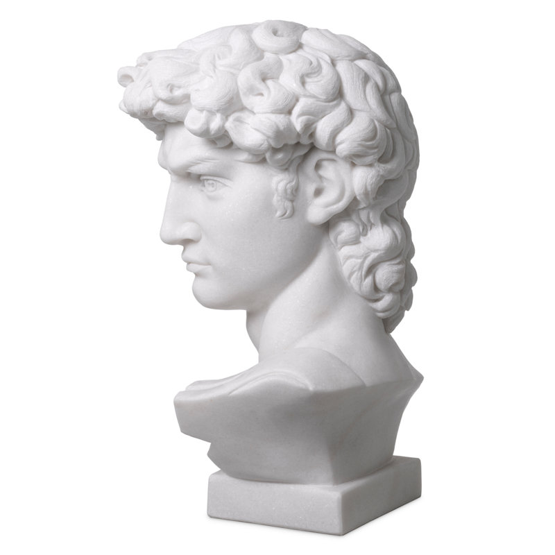 David Bust