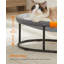 Elevated Pet Bed-105919701