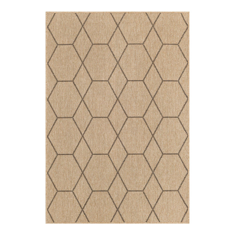 Geometric Indoor Rug