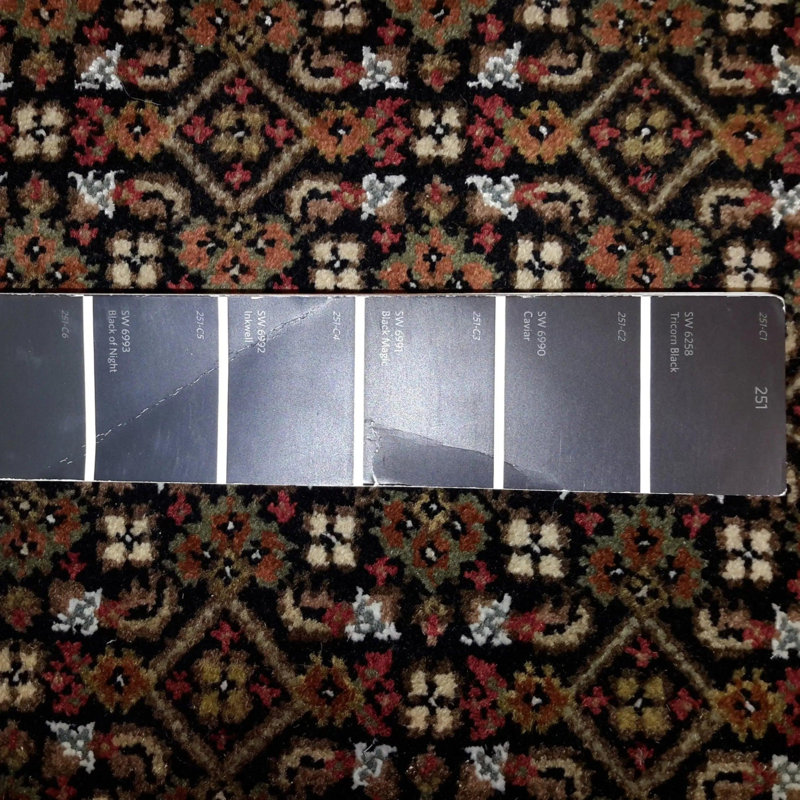 Losh Oriental Area Rug in Black