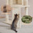 42'' Davalos Professional Cat Tree for Small and Medium-sized Cats-146506201