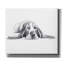 Art mural sur toile Winston Porter «Naptime 4» par Lindsay Kivi-1608002275