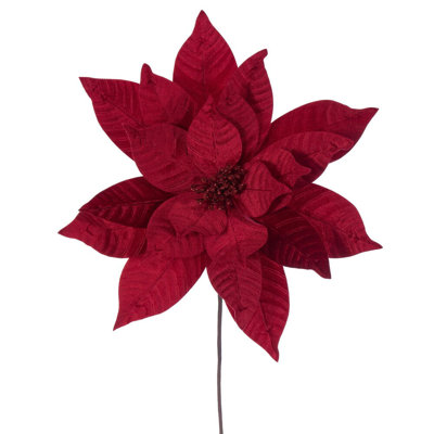 Clementina Poinsettia Stems