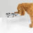 Tall Clear Elevated Feeder with Bowls-1751937875-1763116309