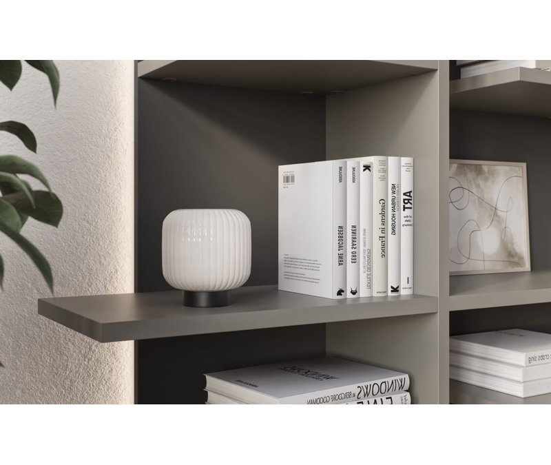 Quetzally 197cm H x 119cm W Standard Bookcase