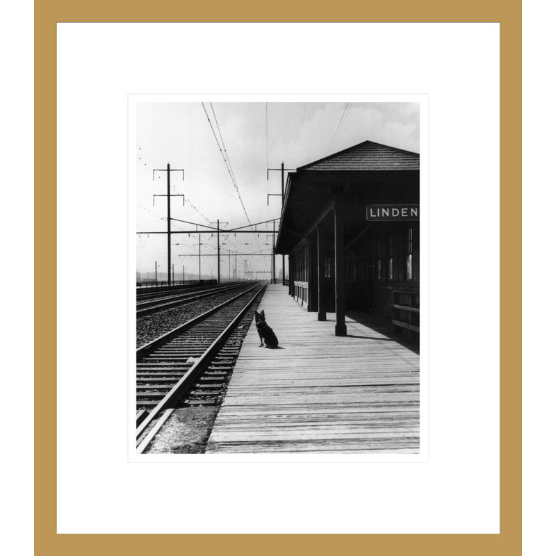 Chien en attente sur une plateforme de chemin de fer vide par Inconnu - Impression giclée encadrée, 15.68" H x 13.75" W