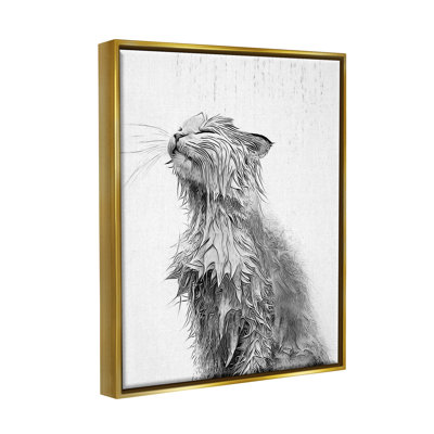Éclaboussure de chat