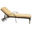 Cashin Outdoor Chaise Lounge