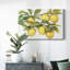 Toile tendue «Ripe for Picks II»-490551944