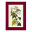 Olive Greenery VI - reproduction d'un seul cadre photo-883564718-883564706