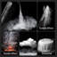 Cf5 Machine à brouillard intelligente avec lumière RVB magnétique et télécommande - Machine à fumée portative 40 W pour les fêtes, la photographie, la décoration intérieure