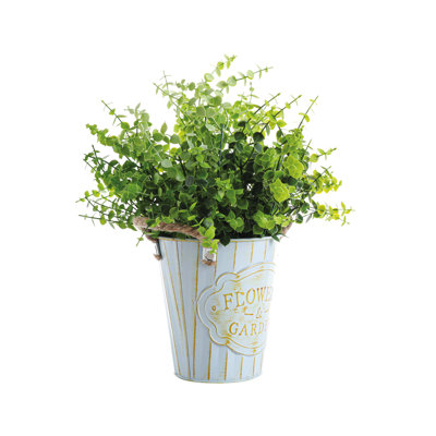 Ensemble 3 pièces d'eucalyptus artificiel en pot