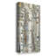 Birch Wood Meadow - reproduction de cadre photo sur toile 3 pièces-51126357