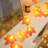 Birgit 0.5' Outdoor LED Battery Powered 1 Novelty String Light
