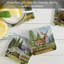 Ensemble de 4 sous-verres Mountain Lodge