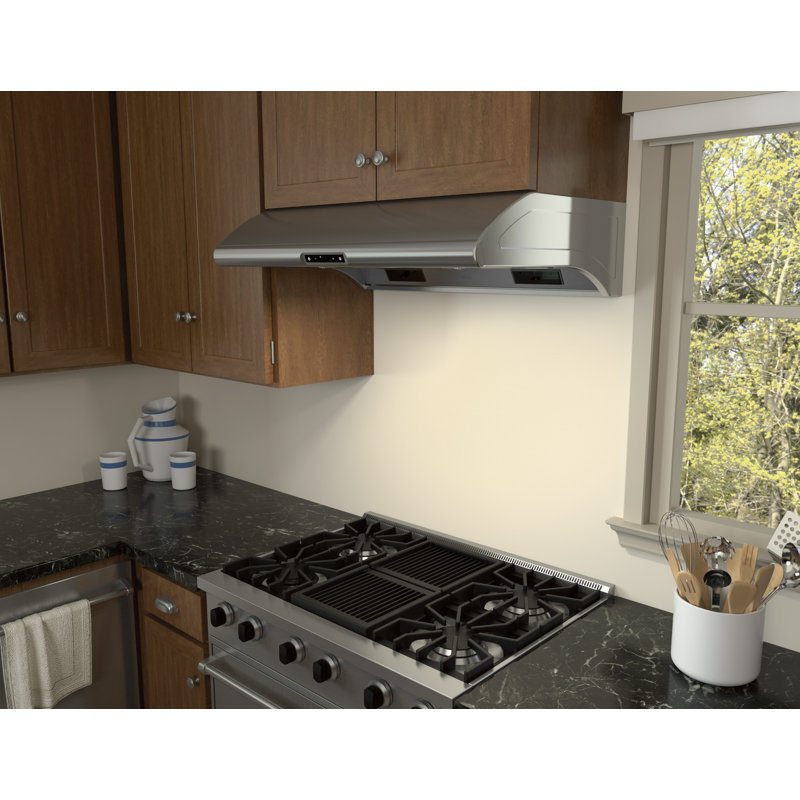 Zephyr Typhoon 36 in. 850 CFM Under Cabinet Mount Range Hood with LED Light, Stainless Steel
