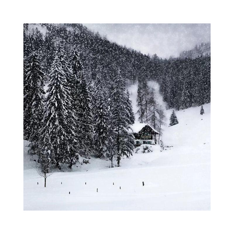 Bavarian Winters Tale Ix by Melanie Viola - Wrapped Canvas Gallery-Wrapped Canvas Giclée, 30.48 cm H x 30.48 cm W