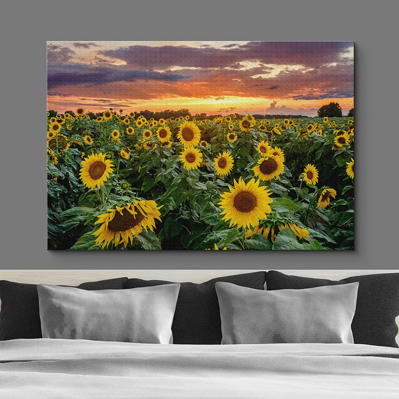Tournesol, coucher de soleil, horizon, champ de tournesols, nature sauvage - photographie à cadre flottant, L 24 po x H 16 po