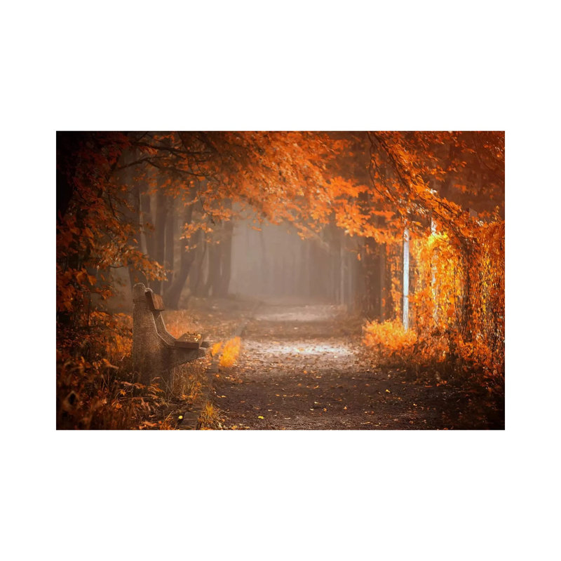 «Waiting to Fall» par Ildiko Neer - reproduction de photo, Toile tendue, H 8 po x l 12 po x P 0,75 po