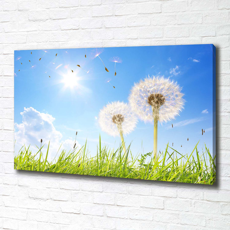 Dandelions - Wrapped Canvas Print