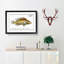 Little-Scaled Wrasse Fish by M.E. Bloch - Picture Frame Painting Print-55580735-55580736