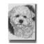 Epic Graffiti 'Maltichon' By Barbara Keith, Canvas " Maltichon " by Barbara Keith