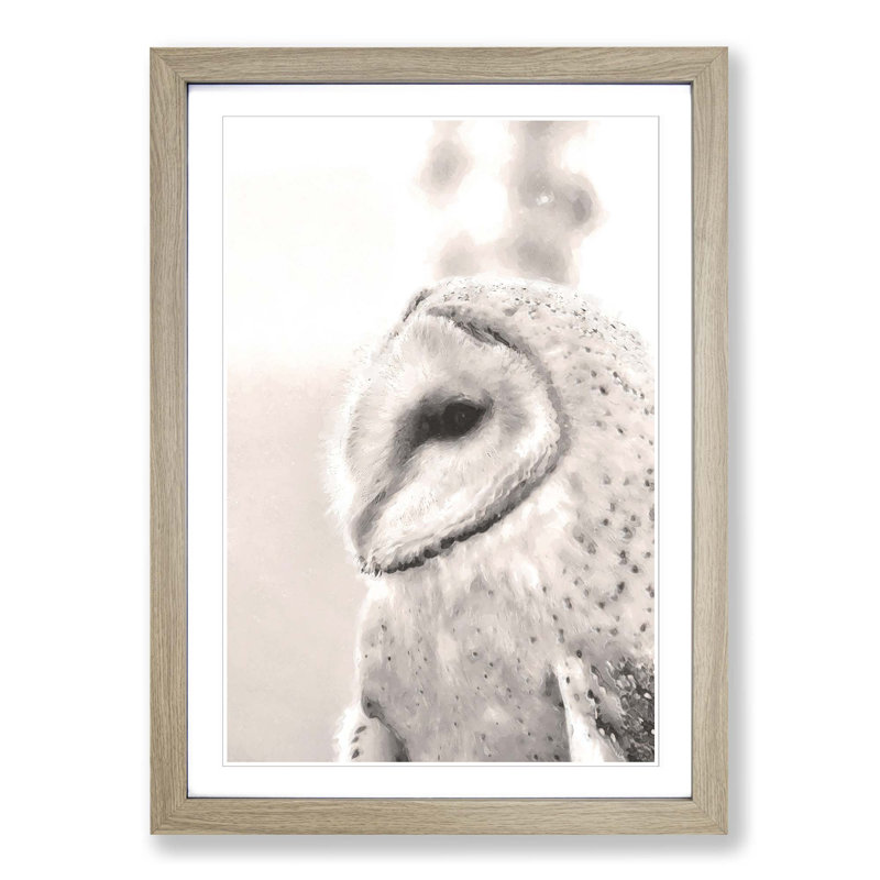 Watchful Barn Owl Bird - Picture Frame Graphic Art Print, Oak, 91cm H x 60cm W x 2cm D