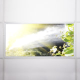 Octo Lights - Fluorescent Light Covers - Flexible Decorative Light Diffuser Panels - Waterfall - For Classrooms And Offices - Waterfall 002