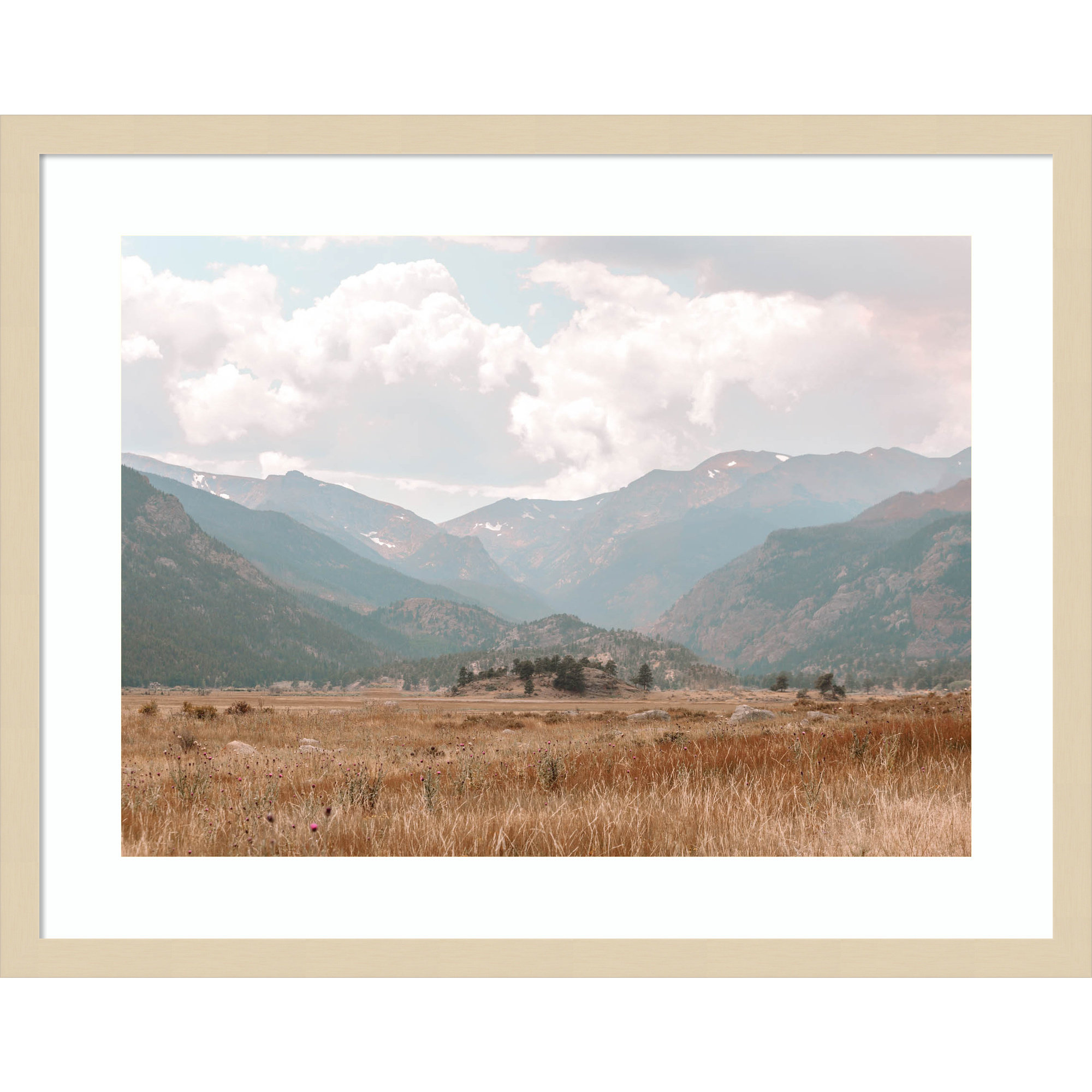 Wanderings by Alicia Abla, 20" H x 25" W x 1" D, Brown