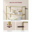 6-Tier Glass Shelf  Bookshelf-1771337208