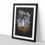 Forest in Russia - Picture Frame Graphic Art Print-56856717-56856714