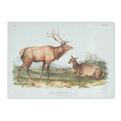 Tempered Glass American Elks by J.W. Audubon Chopping Board