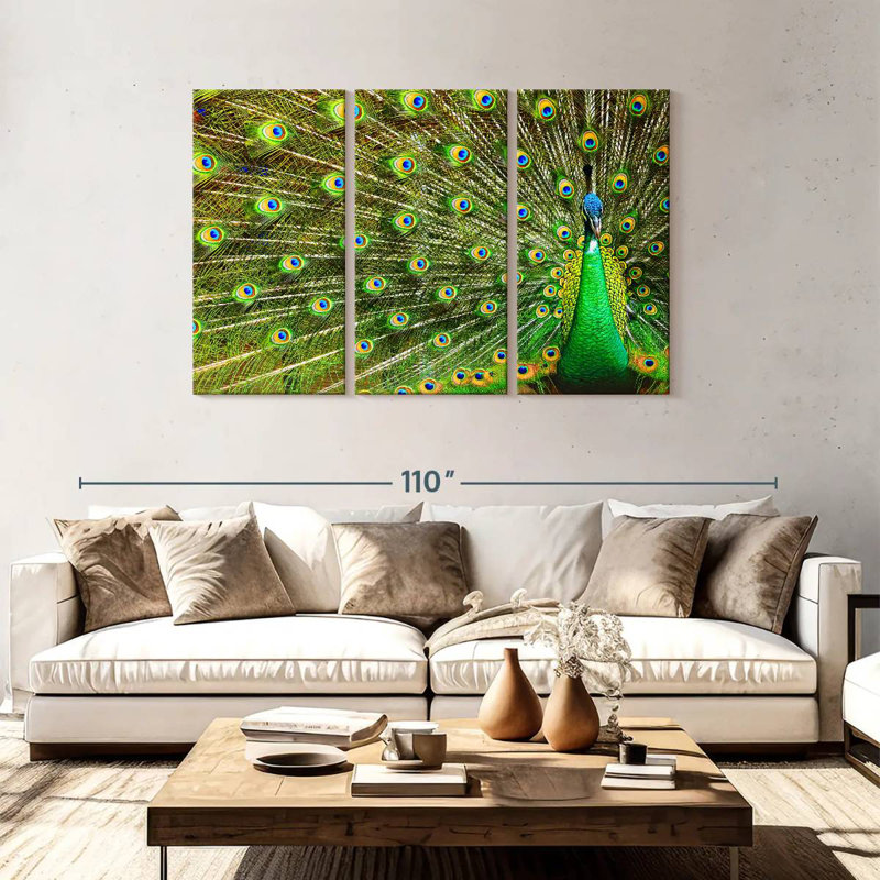 Brampt Showing Off Peacock Feathers, 48" H x 74" W