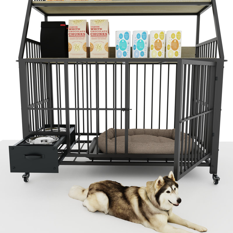 Cage pour animal de compagnie avec fer et -, exquis, noir Profondeur, 23,96 de largeur, 50,58 de hauteur fonctionnelle,