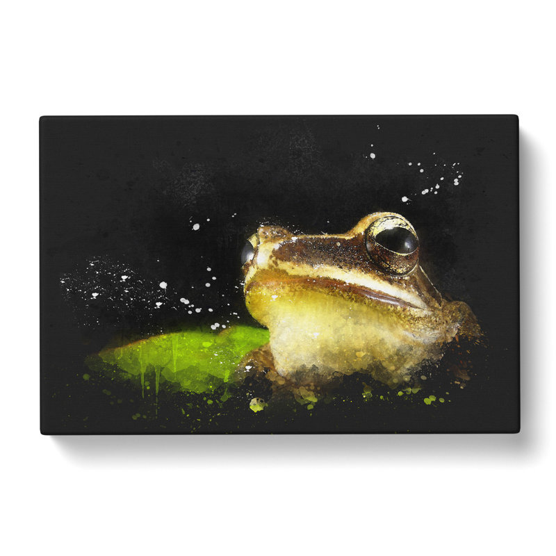Frog Vol.2 - Wrapped Canvas Print, 40cm H x 60cm W x 3cm D