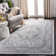 Pearce Oriental Area Rug