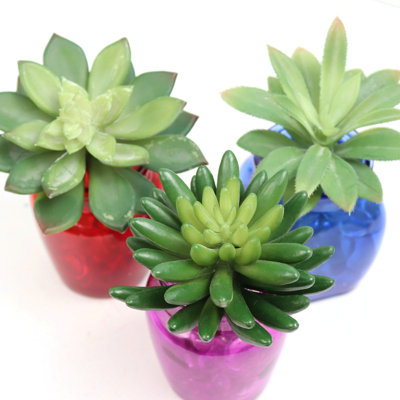 Plantes succulentes artificielles (ensemble de 3)