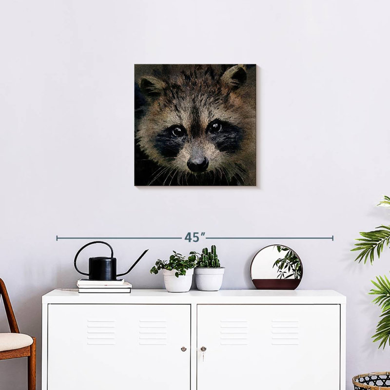 Brampt Racoon, 20" H x 20" W