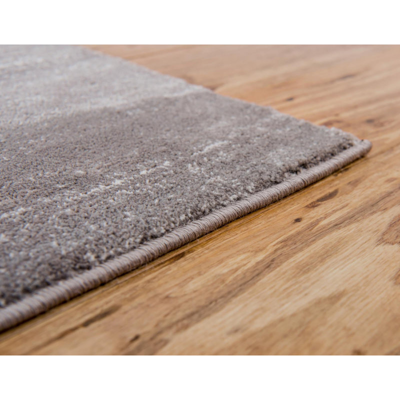 Aimeeleigh Indoor Rug, Rectangle 2' x 3'1"