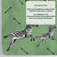 Flying Zebra Wallpaper-1724170024