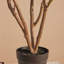 Rosier artificiel en pot Adcock Premium-54968080-54968086