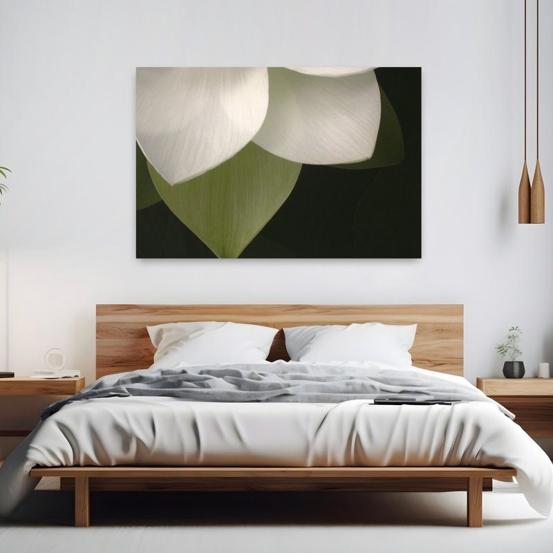 Lotus, gros plan II, délicate fleur minimaliste, art naturel, H 40 po x l 60 po