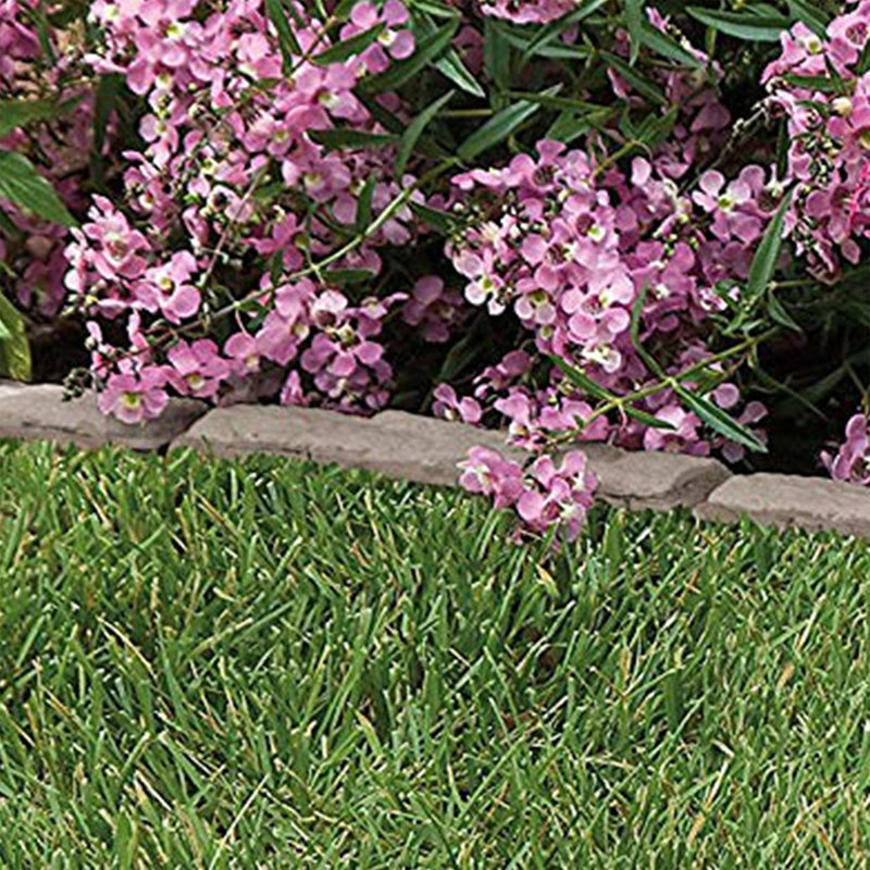 3.75'' H x 35'' W Beige Resin Lawn Edging