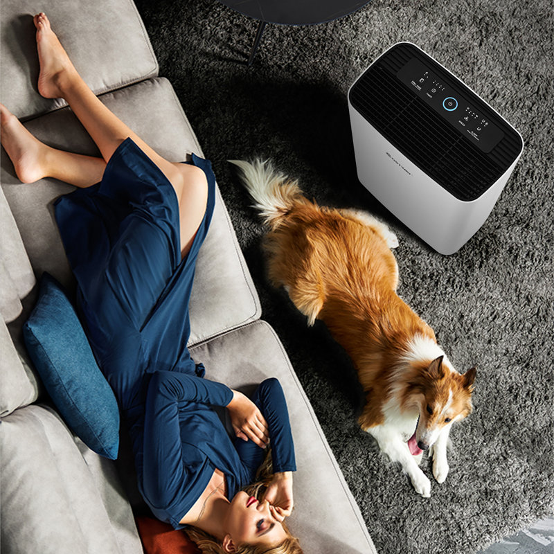 Purificateur d'air avec filtre HEPA