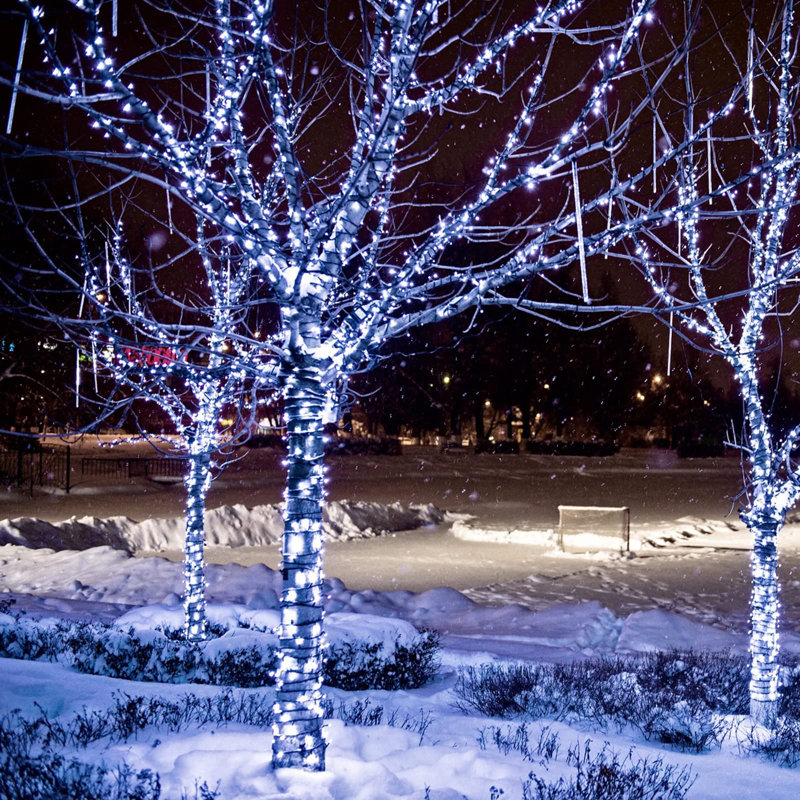 Ensemble de 4 lumières de Noël solaires blanches et chaudes imperméables, Blanc froid