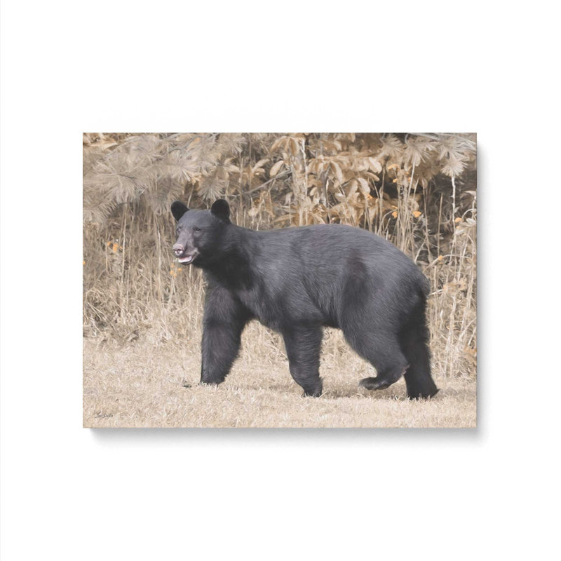 «Nosy Bear» par Lori Deiter, reproduction d'art, Unframed Canvas, Ne s’applique pas, L 16 po x H 12 po