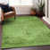 Premium Machine Washable Kiyondrea Aloe Rug